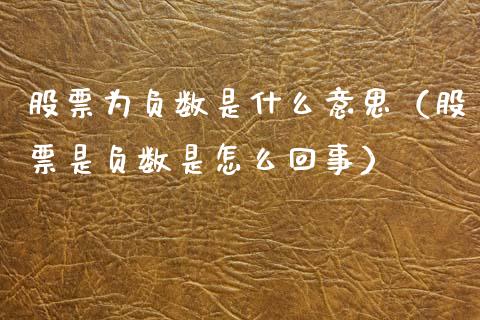 股票为负数是什么意思（股票是负数是怎么回事）_https://www.gzqbddp.com_选股技巧_第1张