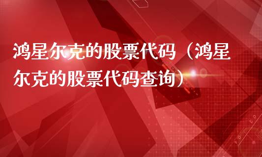 鸿星尔克的股票代码（鸿星尔克的股票代码查询）_https://www.gzqbddp.com_炒股经验_第1张