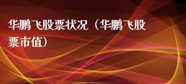 华鹏飞股票状况（华鹏飞股票市值）_https://www.gzqbddp.com_炒股经验_第1张
