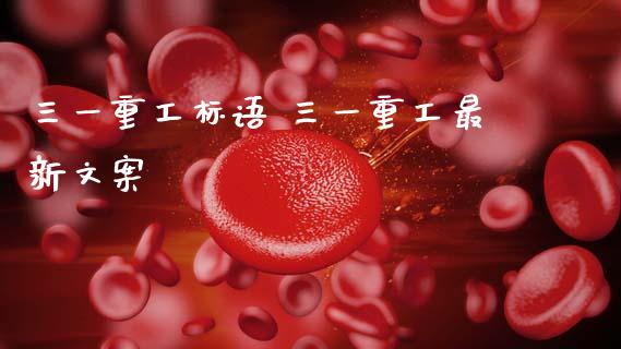 三一重工标语 三一重工最新文案_https://www.gzqbddp.com_炒股经验_第1张