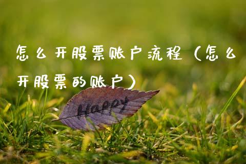 怎么开股票账户流程（怎么开股票的账户）_https://www.gzqbddp.com_技术分析_第1张