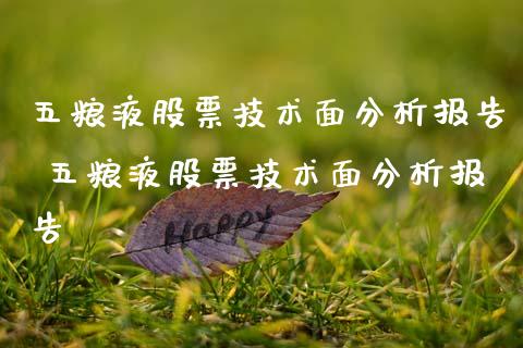 五粮液股票技术面分析报告 五粮液股票技术面分析报告_https://www.gzqbddp.com_技术分析_第1张