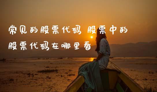 常见的股票代码 股票中的股票代码在哪里看_https://www.gzqbddp.com_炒股经验_第1张