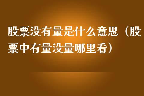 股票没有量是什么意思（股票中有量没量哪里看）_https://www.gzqbddp.com_炒股经验_第1张