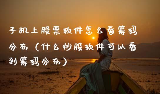 手机上股票软件怎么看筹码分布（什么炒股软件可以看到筹码分布）_https://www.gzqbddp.com_炒股经验_第1张