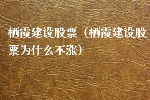 栖霞建设股票（栖霞建设股票为什么不涨）_https://www.gzqbddp.com_财经资讯_第1张