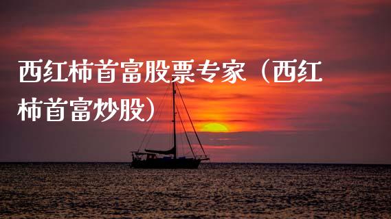 西红柿首富股票专家（西红柿首富炒股）_https://www.gzqbddp.com_技术分析_第1张