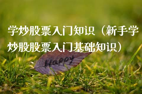 学炒股票入门知识（新手学炒股股票入门基础知识）_https://www.gzqbddp.com_选股技巧_第1张
