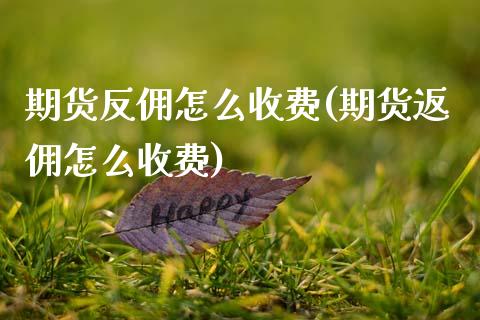 期货反佣怎么收费(期货返佣怎么收费)_https://www.gzqbddp.com_黄金期货_第1张