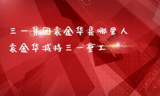 三一集团袁金华是哪里人 袁金华减持三一重工_https://www.gzqbddp.com_股票知识_第1张