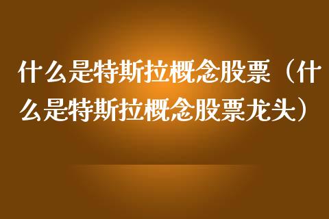 什么是特斯拉概念股票（什么是特斯拉概念股票龙头）_https://www.gzqbddp.com_炒股经验_第1张