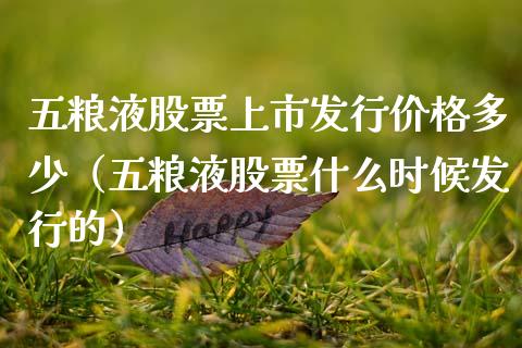五粮液股票上市发行价格多少（五粮液股票什么时候发行的）_https://www.gzqbddp.com_技术分析_第1张