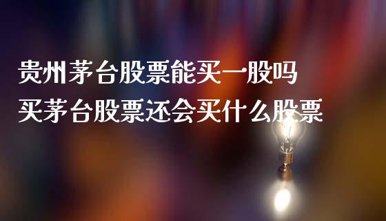贵州茅台股票能买一股吗 买茅台股票还会买什么股票_https://www.gzqbddp.com_炒股经验_第1张