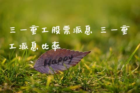 三一重工股票派息 三一重工派息比率_https://www.gzqbddp.com_选股技巧_第1张