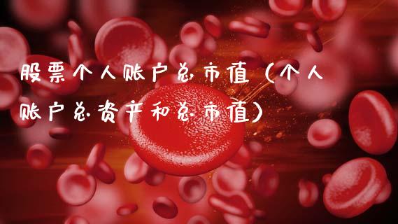 股票个人账户总市值（个人账户总资产和总市值）_https://www.gzqbddp.com_选股技巧_第1张