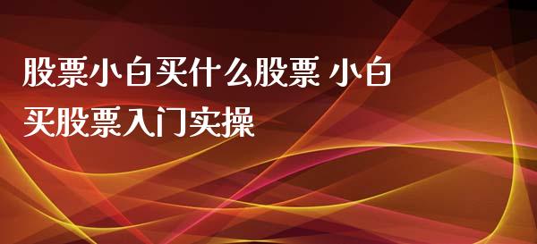 股票小白买什么股票 小白买股票入门实操_https://www.gzqbddp.com_炒股经验_第1张