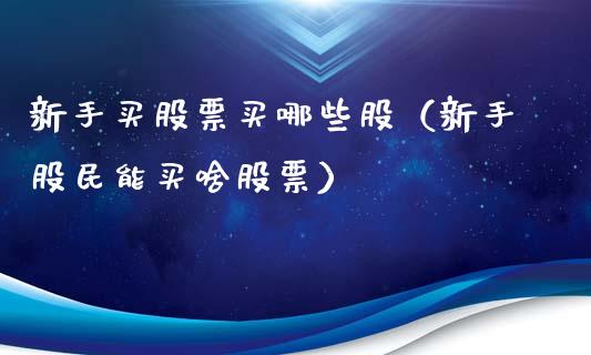 新手买股票买哪些股（新手股民能买啥股票）_https://www.gzqbddp.com_选股技巧_第1张