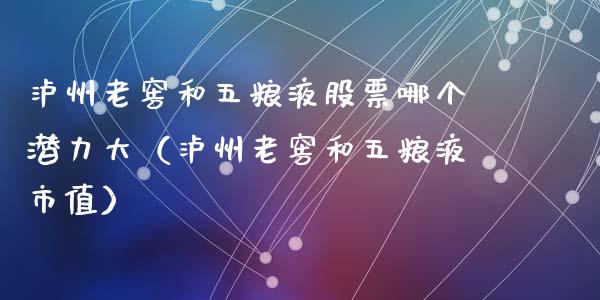 泸州老窖和五粮液股票哪个潜力大（泸州老窖和五粮液市值）_https://www.gzqbddp.com_选股技巧_第1张