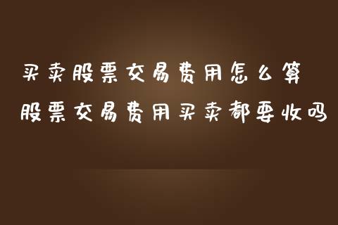 买卖股票交易费用怎么算 股票交易费用买卖都要收吗_https://www.gzqbddp.com_炒股经验_第1张