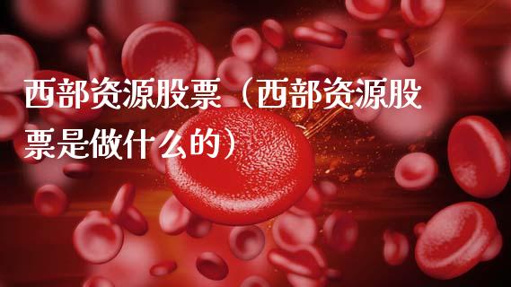 西部资源股票（西部资源股票是做什么的）_https://www.gzqbddp.com_技术分析_第1张