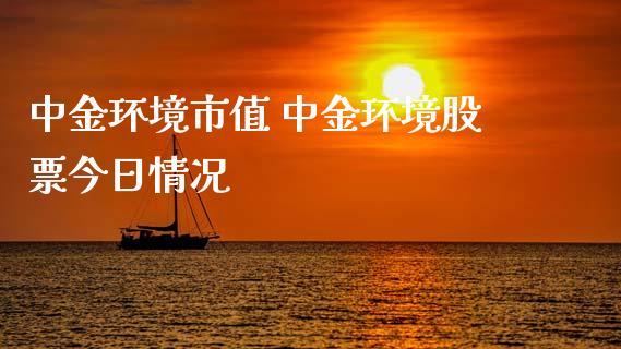 中金环境市值 中金环境股票今日情况_https://www.gzqbddp.com_炒股经验_第1张
