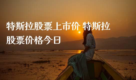 特斯拉股票上市价 特斯拉股票价格今日_https://www.gzqbddp.com_技术分析_第1张