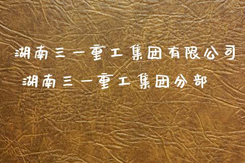 湖南三一重工集团有限公司 湖南三一重工集团分部_https://www.gzqbddp.com_炒股经验_第1张