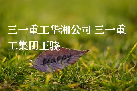 三一重工华湘公司 三一重工集团王骁_https://www.gzqbddp.com_股票知识_第1张