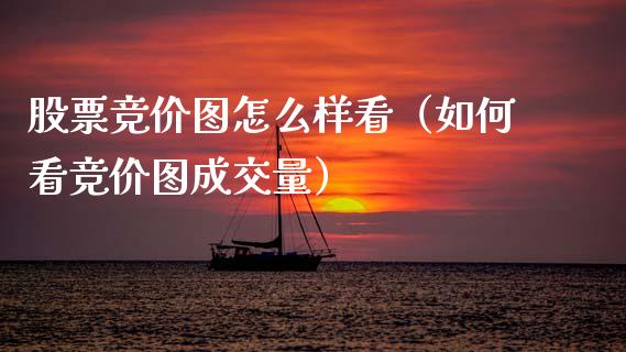 股票竞价图怎么样看（如何看竞价图成交量）_https://www.gzqbddp.com_股票知识_第1张