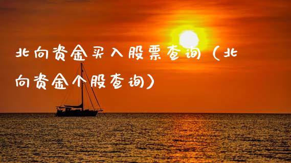 北向资金买入股票查询（北向资金个股查询）_https://www.gzqbddp.com_股票知识_第1张