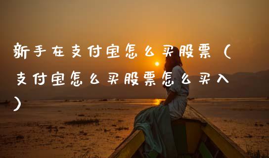 新手在支付宝怎么买股票（支付宝怎么买股票怎么买入）_https://www.gzqbddp.com_技术分析_第1张