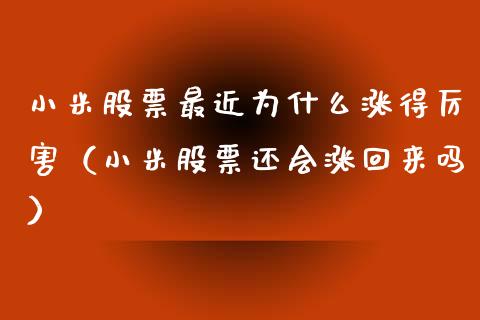 小米股票最近为什么涨得厉害（小米股票还会涨回来吗）_https://www.gzqbddp.com_技术分析_第1张