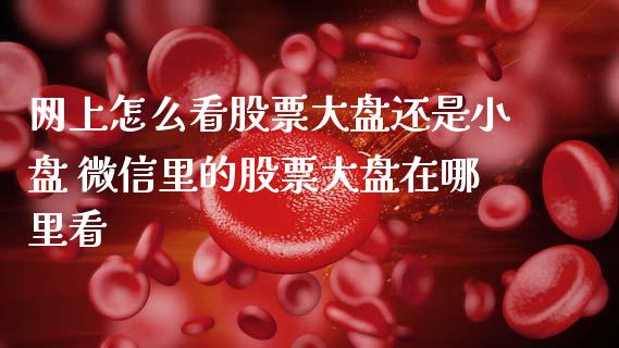 网上怎么看股票大盘还是小盘 微信里的股票大盘在哪里看_https://www.gzqbddp.com_股票知识_第1张