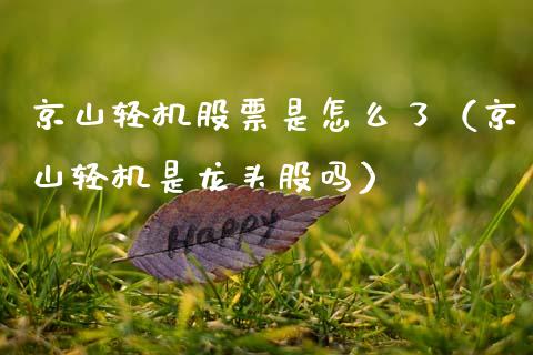 京山轻机股票是怎么了（京山轻机是龙头股吗）_https://www.gzqbddp.com_炒股经验_第1张