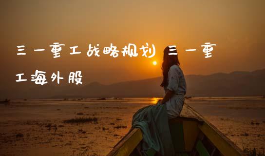 三一重工战略规划 三一重工海外股_https://www.gzqbddp.com_炒股经验_第1张