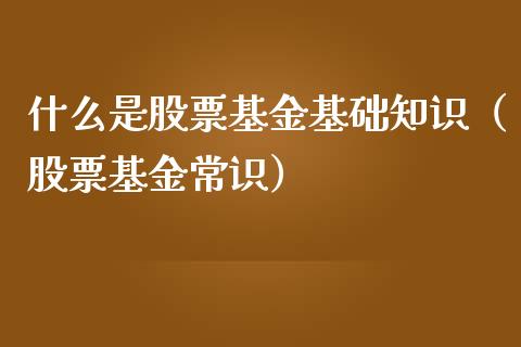 什么是股票基金基础知识（股票基金常识）_https://www.gzqbddp.com_炒股经验_第1张