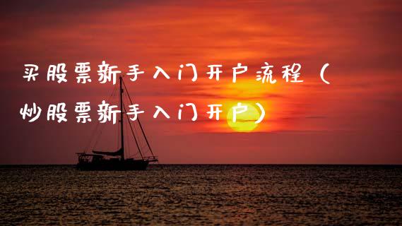 买股票新手入门开户流程（炒股票新手入门开户）_https://www.gzqbddp.com_技术分析_第1张