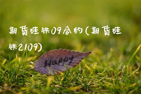 期货硅铁09合约(期货硅铁2109)_https://www.gzqbddp.com_黄金期货_第1张