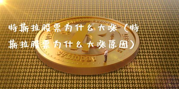 特斯拉股票为什么大涨（特斯拉股票为什么大涨原因）_https://www.gzqbddp.com_炒股经验_第1张