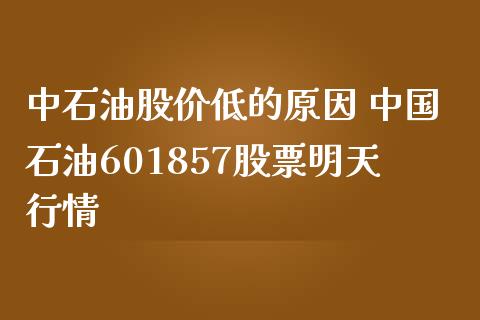 中石油股价低的原因 中国石油601857股票明天行情_https://www.gzqbddp.com_技术分析_第1张