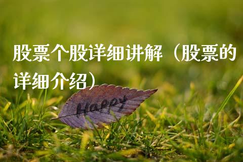 股票个股详细讲解（股票的详细介绍）_https://www.gzqbddp.com_技术分析_第1张