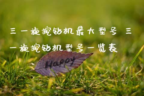 三一旋挖钻机最大型号 三一旋挖钻机型号一览表_https://www.gzqbddp.com_技术分析_第1张