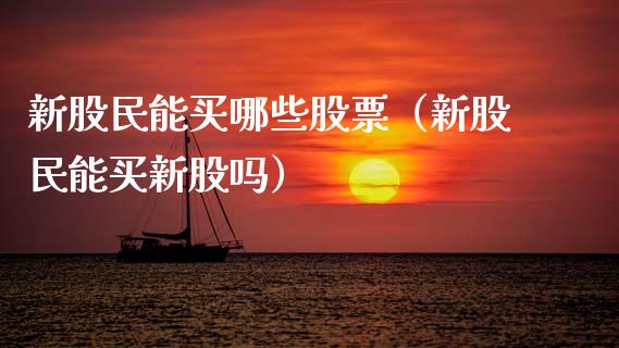 新股民能买哪些股票（新股民能买新股吗）_https://www.gzqbddp.com_技术分析_第1张