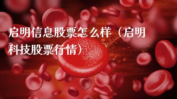 启明信息股票怎么样（启明科技股票行情）_https://www.gzqbddp.com_选股技巧_第1张