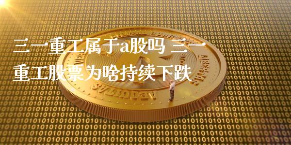 三一重工属于a股吗 三一重工股票为啥持续下跌_https://www.gzqbddp.com_炒股经验_第1张