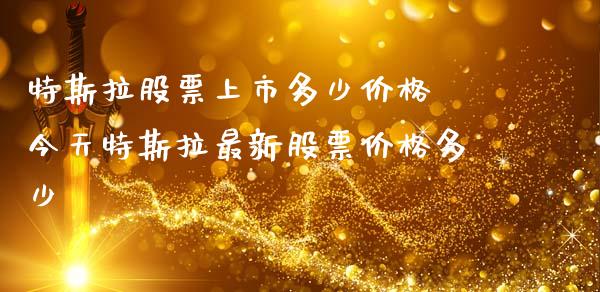 特斯拉股票上市多少价格 今天特斯拉最新股票价格多少_https://www.gzqbddp.com_炒股经验_第1张