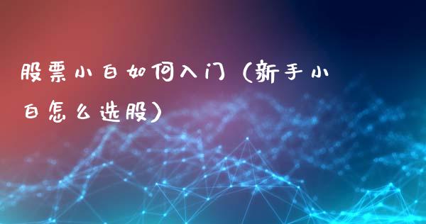 股票小白如何入门（新手小白怎么选股）_https://www.gzqbddp.com_技术分析_第1张