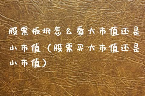 股票板块怎么看大市值还是小市值（股票买大市值还是小市值）_https://www.gzqbddp.com_股票知识_第1张