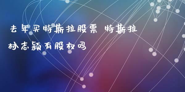 去年买特斯拉股票 特斯拉林志颖有股权吗_https://www.gzqbddp.com_股票知识_第1张