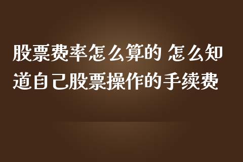 股票费率怎么算的 怎么知道自己股票操作的手续费_https://www.gzqbddp.com_炒股经验_第1张